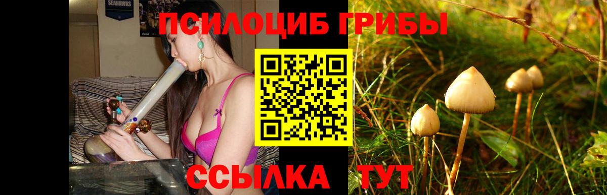 Муравленко  Псилоцибиновые грибы Psilocybe  Вход с VPN  Псилоцибиновые грибы ЛСД 