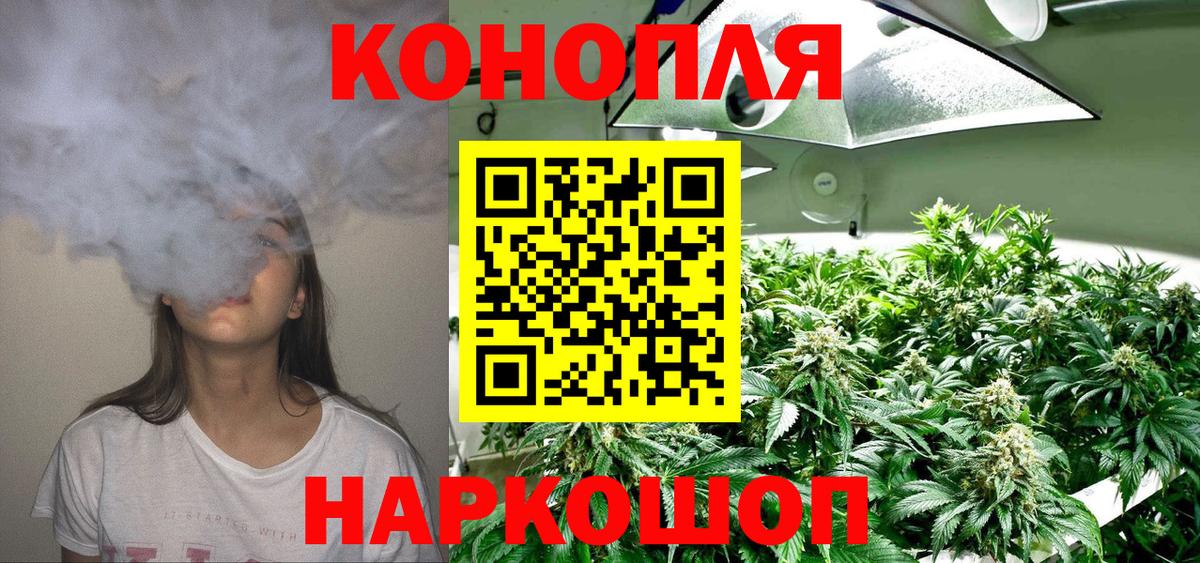 Каннабис тримм  Вход с VPN  Каннабис план  Муравленко 